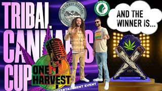 What Makes a Winning Strain Judging the Tribal Cannabis Cup [upl. by Gemma]