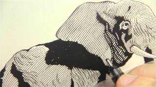 Scratchboard Drawing of and Elephant [upl. by Aihsoj]