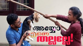 ആറ്റിൽ നീന്താൻ പോയതിന് എനിക്ക് കിട്ടി സമ്മാനം🥳how to train come here command to dogs malayalam [upl. by Arik]