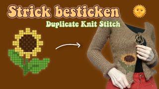 Strick besticken Der MASCHENSTICH Duplicate Knit Stitch 🧶  LOUISENKIND [upl. by Ecinev]