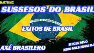 Sussesos Do Brasil Exitos de Brasil Axé Brasilero Mix En Vivo Nicolas Vallorani dj Zanetti Mix [upl. by Akemed738]