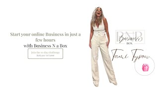 Business N a Box Review [upl. by Nedroj665]