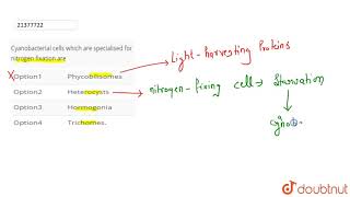 Cyanobacterial cells which are specialised for nitrogen fixation are [upl. by Anelram]