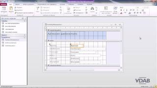 Access 2010  49 Opmaak 1 [upl. by Arhoz]