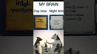 Brain at Night vs Morning The Ultimate Speed Test 🧠😂 shorts funny comedy entertainment [upl. by Wack]