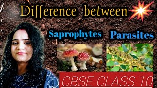 Difference between saprophytes and parasites [upl. by Meijer759]