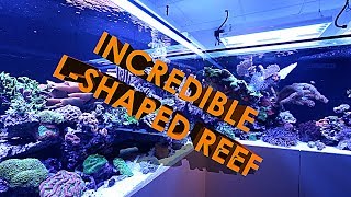 INCREDIBLE LSHAPED REEF AQUARIUM 3500 LITRES [upl. by Eyaf914]