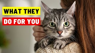 9 Things Your Cat Does for You Without You Knowing [upl. by Notrom]