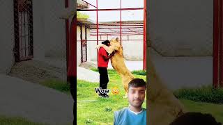 Wow 😯 dog dog doglover animals lion love song music bollywood hindisong bollywoodsongs [upl. by Enytsuj860]