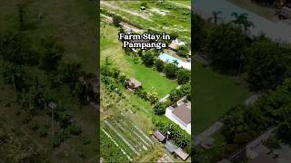 Farm staycation in Pampanga Philippines [upl. by Mroz]