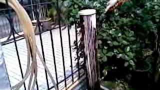 Outdoor Water Filter Washing  DIY [upl. by Sibilla627]