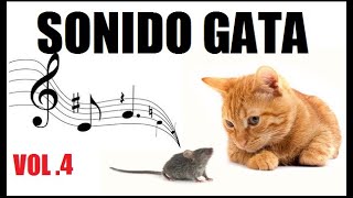 SONIDO de 🔴GATOS MAULLANDO FUERTE🔴 para 🔴ESPANTAR RATONESVOL4 [upl. by Cherice]