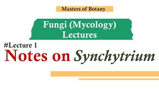 Lecture 1  Synchytrium  Fungi Mycology Lecture  Notes [upl. by Nickola]