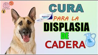 COMO PREPARAR LA CURA PARA LA DISPLASIA DE CADERA Nuestro Amor [upl. by Ahsieyt562]