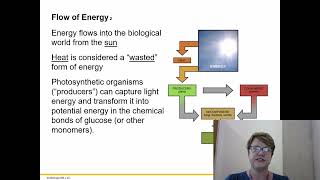 BIOL 1406 Chapter 6 Part 1 Recorded Lecture [upl. by Shelba79]