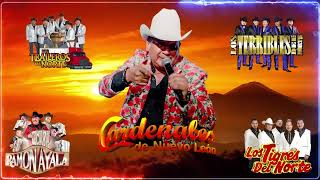 📌Cardenales De Nuevo Leon✅Los Huracanes del Norte Los Tigres del Norte Los Invasores Ramon Ayala [upl. by Anomer381]