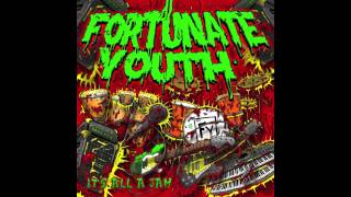 Fortunate Youth  Positive [upl. by Slen]