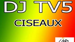 Dj Tv5 Ciseaux [upl. by Eugatnom]