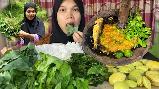 Mukbang‼️lalapan mentah sambal jeruk limo  ikan asin  lalapan nya metik di sawah ASMR [upl. by Acinomed]