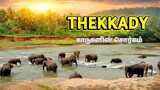 Thekkady Kerala  Things to do in Thekkady  Exploring Kerala [upl. by Ecarg498]