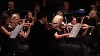 Wagner Lohengrin Act 1 amp 2 Excerpts [upl. by Anikal]