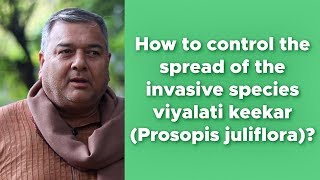 How to control the spread of invasive plant species prosopis juliflora [upl. by Ytsihc]