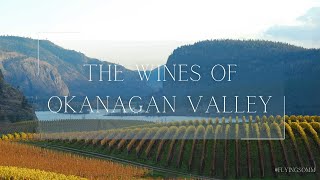 The Wines of Okanagan Valley BC [upl. by Wahlstrom798]