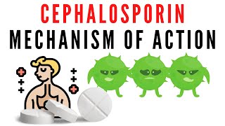 Cephalosporin explained  classification mechanism of action [upl. by Othello]