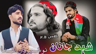 Janan Shaheed Da Nosherwan Ashna 2024 Gilaman wazir Songs گیلامن وزیر [upl. by Solhcin]