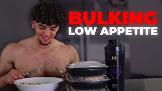 How To Bulk Up With A Low Appetite [upl. by Eusebio39]