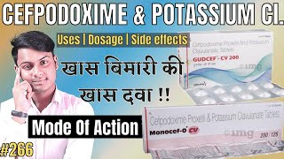 Cefpodoxime proxetil and potassium clavulanate tablets used for  Gudcef cv 200 tablet uses in hindi [upl. by Atinihc]