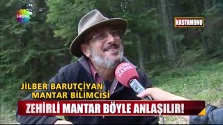 Zehirli mantar böyle anlaşılır [upl. by Noiek]