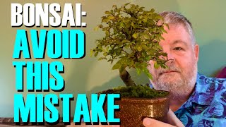 The Bonsai Beginner Mistake We All Make And How To Avoid It [upl. by Lleksah]