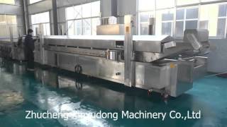 continuous belt fryer [upl. by Iams102]