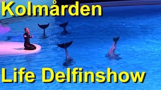 Kolmården Tierpark amp Zoo  Life Dolpin Show 2018  Delfinshow kolmården life  Full Show [upl. by Bough]