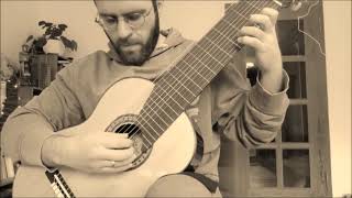 11 String Guitar  d minor tuning  D Kellner  Aria [upl. by Analaf347]