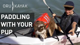 Oru Kayak How To Easy Steps to Kayaking with Your Dog [upl. by Adnerak]