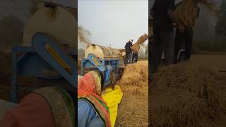 New Holland 50paddy harvestingaggriculture shortvideo [upl. by Aborn]