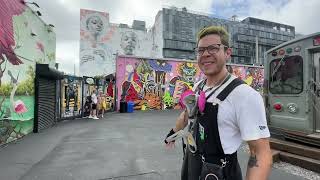 Guided tour of Wynwood walls [upl. by Htieh]