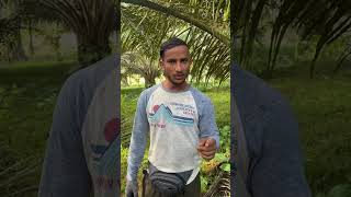 Video kaha kaha tak jaati hai bhai log ytshortsvideo shortsindia shorts foryou viralshorts [upl. by Yzzik949]