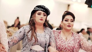 Farshad Amini Kurdish weddings dance 2023 [upl. by Ttekcirc]