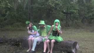 The Leprechaun Song Original Song [upl. by Winola]