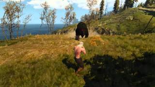 Witcher 3 Bear Punching [upl. by Hsevahb]