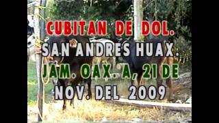 cubitan de dolores oaxaca [upl. by Suiram]