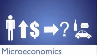 Micro Vs Macro Economics [upl. by Bahner790]