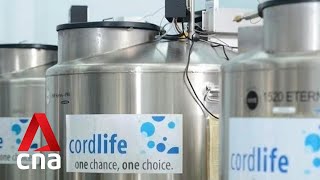 MOH to review regulatory requirements for cord blood banking after Cordlife lapses [upl. by Matthew668]