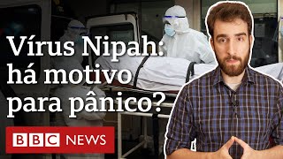 Nipah quais são as chances de vírus mortal chegar ao Brasil ou causar nova pandemia [upl. by Rashidi]