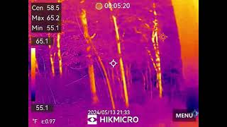 The Thermal Camera test along the Conneaut Creek [upl. by Nit]