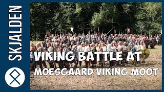 Viking Battle At Moesgaard Viking Moot 2017  An Annual Event in Aarhus Denmark [upl. by Huppert209]