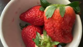 Bro BOoBOOo Brook YouTube strawberry chocolate video [upl. by Ahseila]